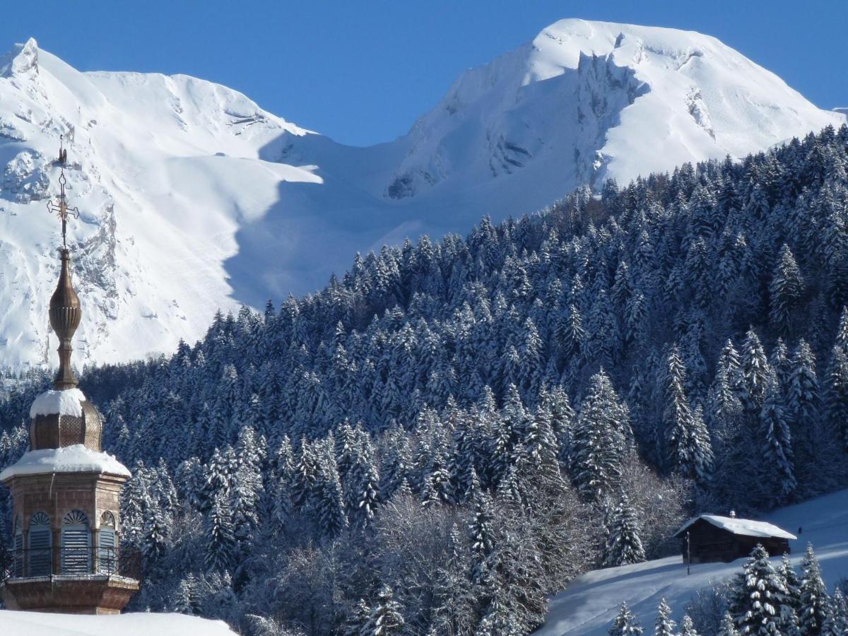 "Chalet Les Aravis" Chalet Et Appartements Le Grand-Bornand Exterior foto